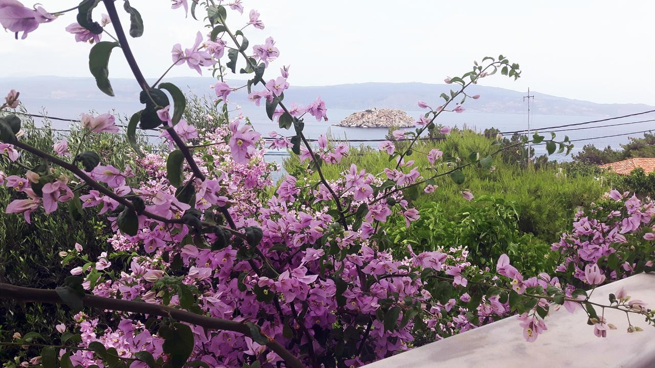 Vlichos Studio Apartment Hydra  Buitenkant foto